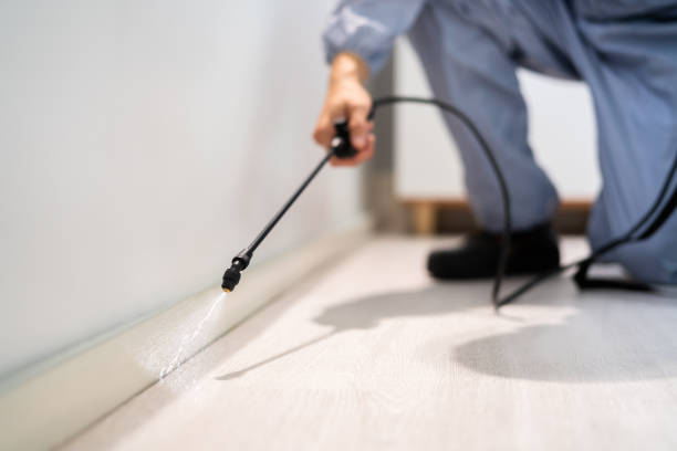 Professional exterminator conducting IPM assessment in Crestline