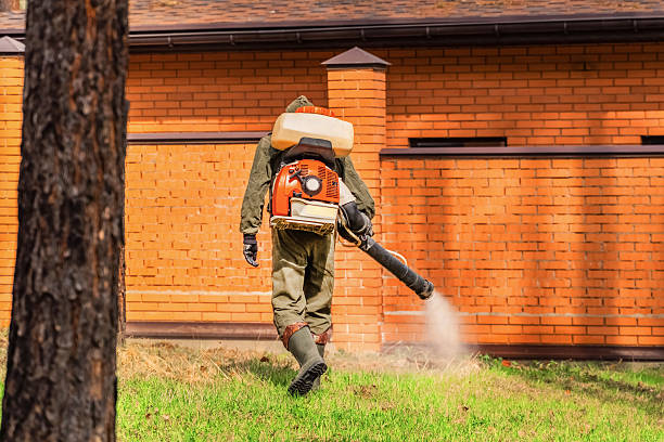 Top rated local Ant Control specialists in Crestline, OH